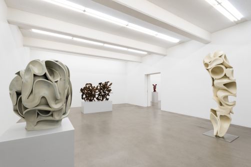 Tony Cragg, "Sculptures" - Galleri Andersson/Sandström, Stockholm