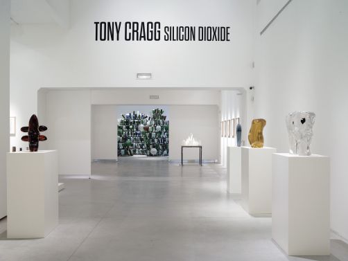 Tony Cragg "Silicon Dioxide" in Venice, Italy, from 03 December to 13 March